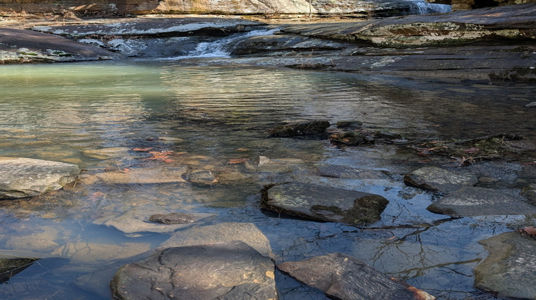 Dixon Springs State Park Waterfall and Bridge in Illinois