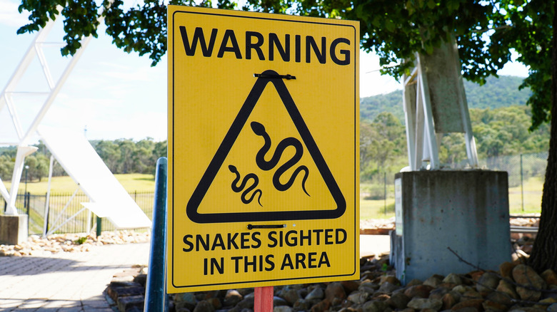 Snake caution sign on trail
