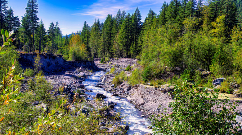 Sandy River runs through hillside near Sandy Oregon and surrounding forest