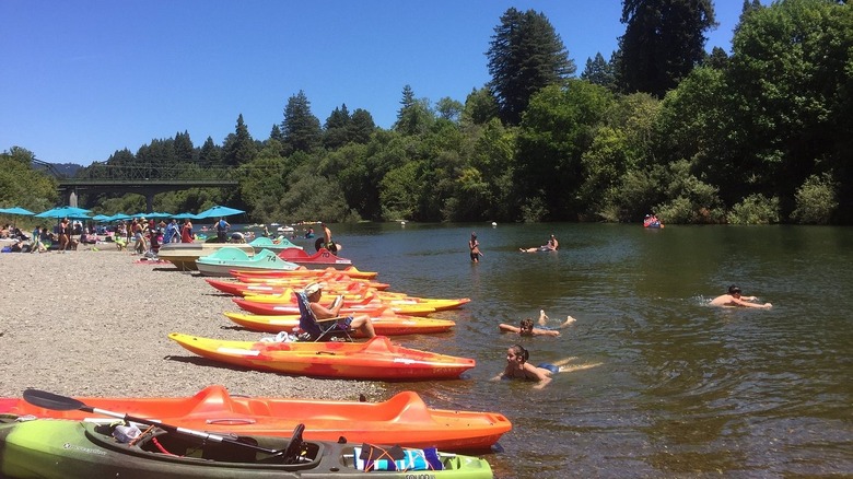 People swim near kayaks on Johnson's Beach in Sonoma County