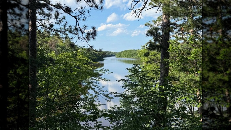 A view down to the river between the trees at Crow Wing State Park