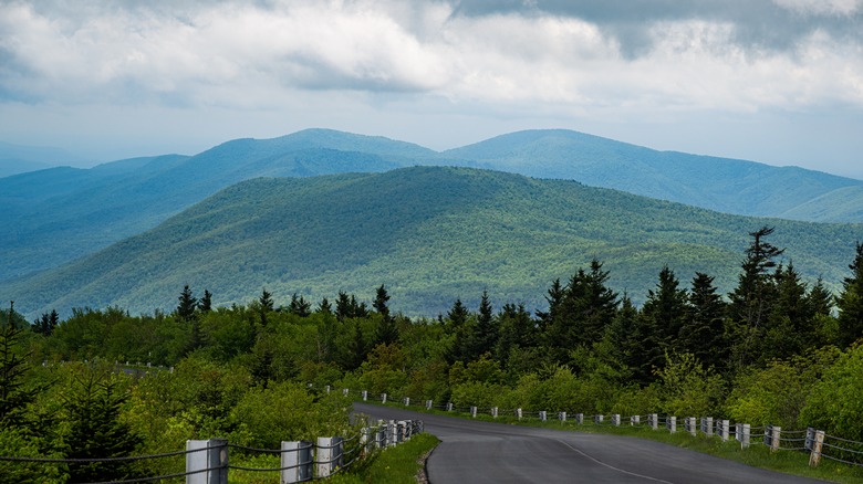 Green Mountain National Forest near Hancock, Vermont