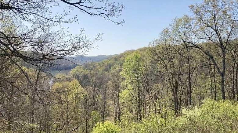Forested views of Shawnee State Park, Ohio