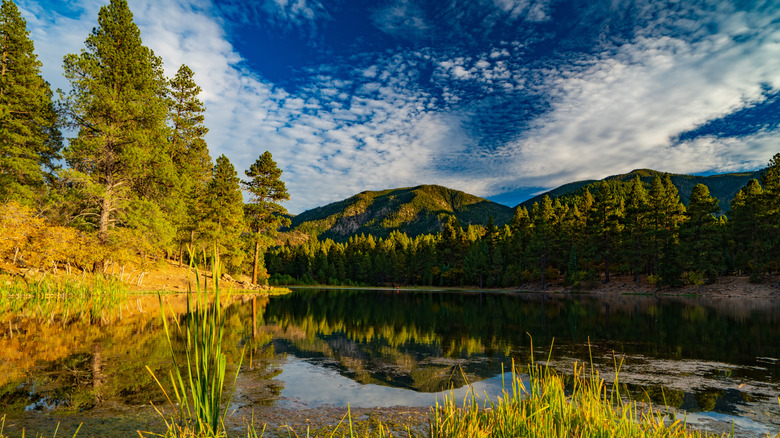 The alpine scenery at Dixie National Forest