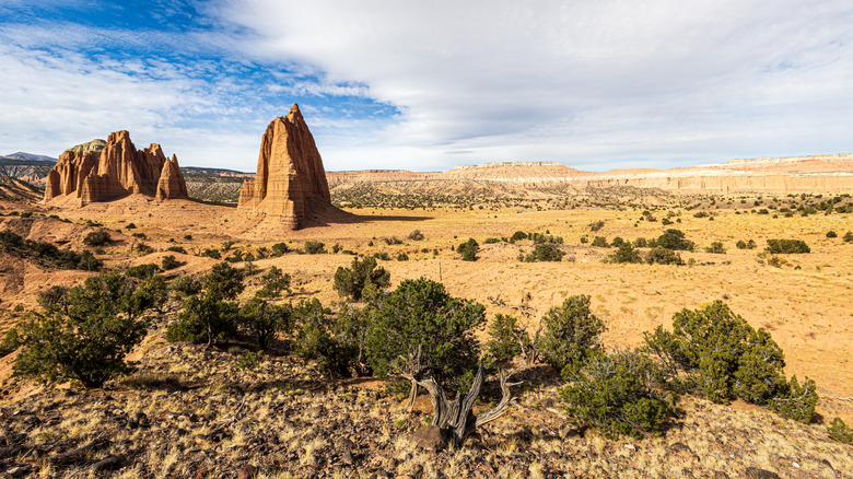 The breathtaking Cathedral Valley near Capitol Reef National Park