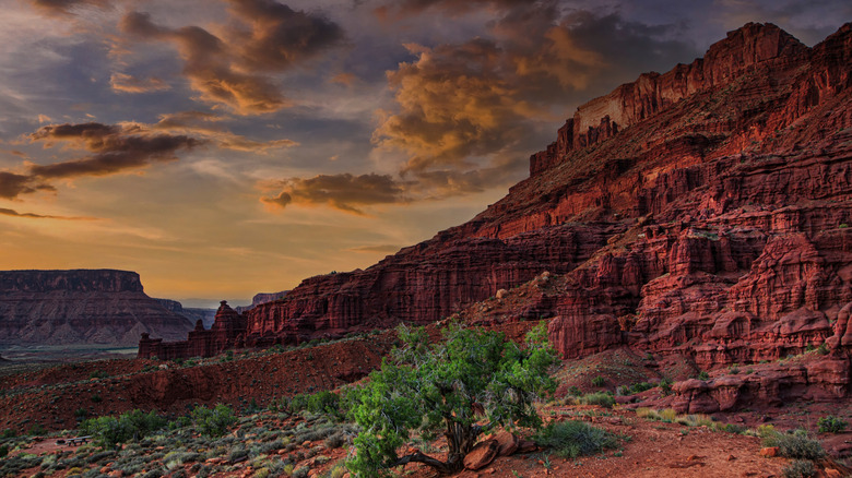 Fisher Towers just outside of Arches and Moab in Utah