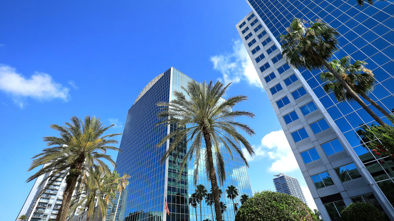 Towers of Downtown Orlando