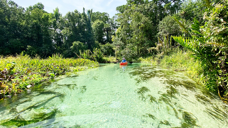 Kayak at Rock Springs Run