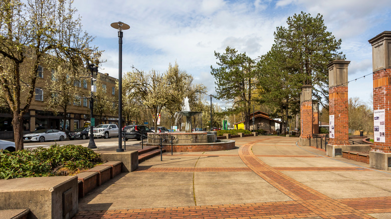 The view from Independence Street Bridge in Independence, Oregon, in spring