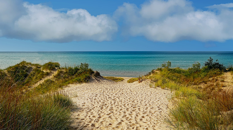 Dunes overlooking Lake Michigan from Indiana Dunes State Park