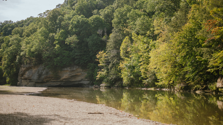A peaceful riverbank at Turkey Run State Park