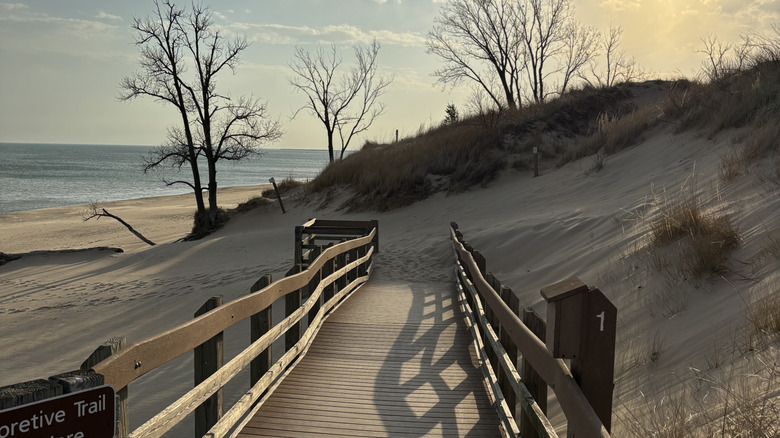 Boardwalk path through the dunes of Indiana Dunes National Park