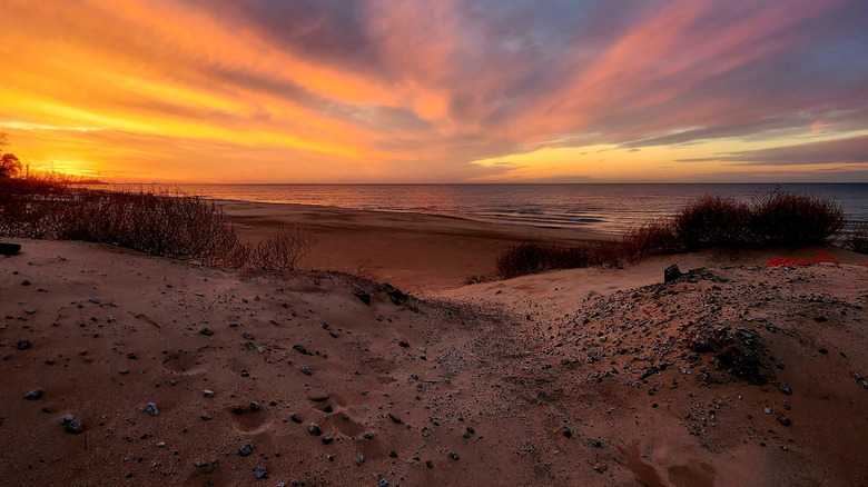 Sunset at Indiana Dunes National Park with view over the lake