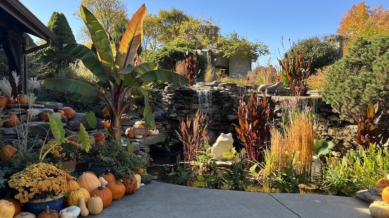 Garden with pumpkins and waterfall outside of Oliver Winery in Indiana