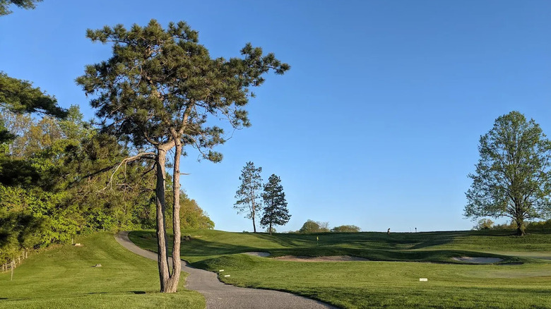 Greens in The Fort Golf Resort, Lawrence, Indiana