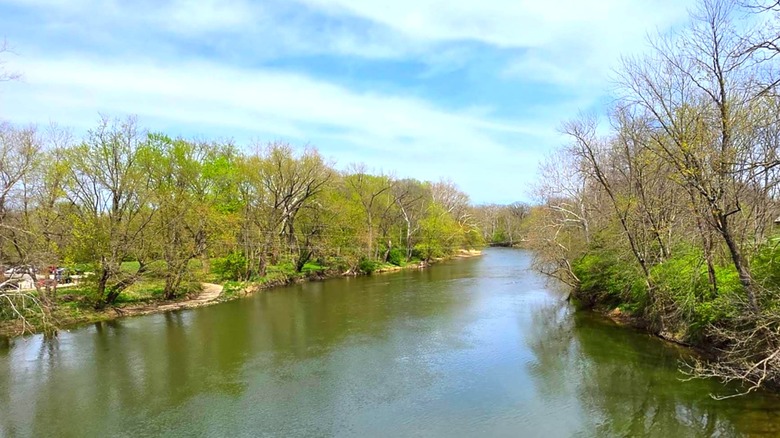 The White River's tree-lined riverbanks near Fishers White River Park