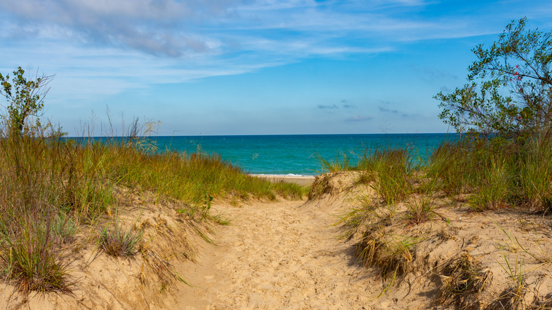 A sandy path between vegetated dunes leading to a Lake Michigan beach in Indiana Dunes