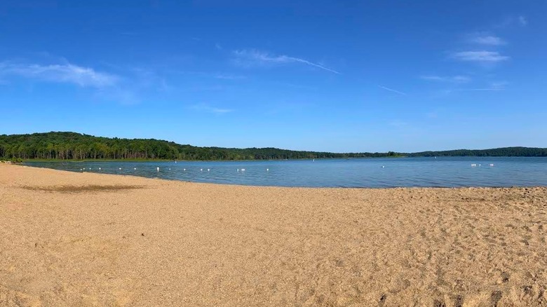 Wide sandy beach at Patoka Lake on a clear blue day