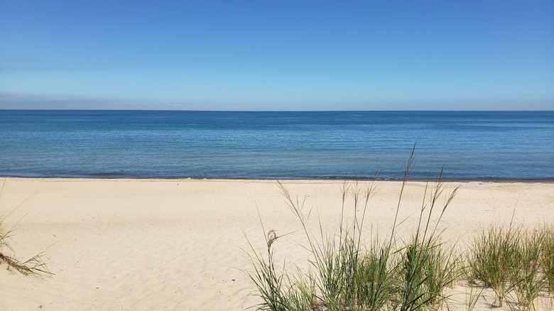 Wide sandy Porter Beach meets Lake Michigan in Indiana Dunes State Park