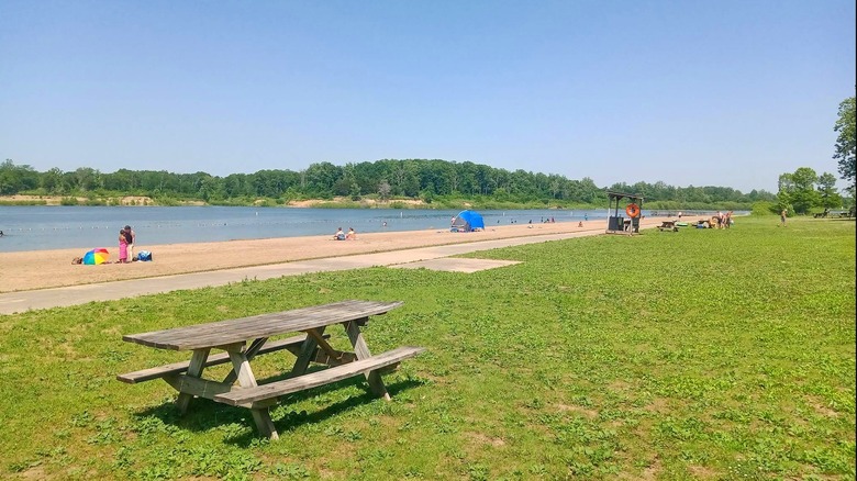A picnic table on a grassy area by Salamonie Lake beach in Indiana