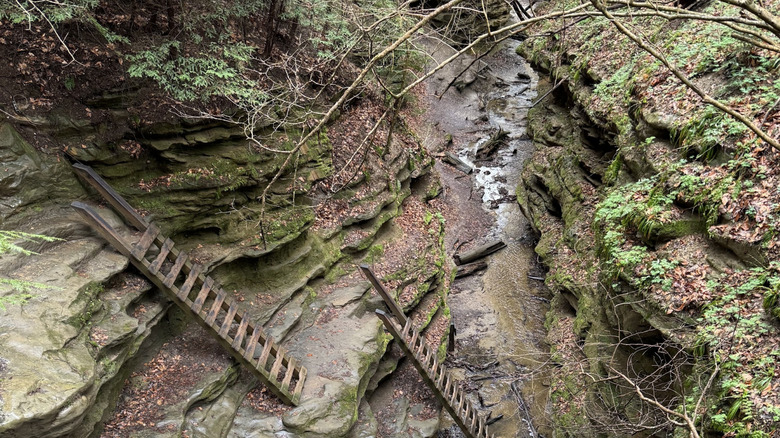 Wooden ladders braced against rock cliffs in Bear Hollow in Turkey Run State Park in Indiana
