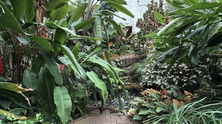 Gardens at Foellinger-Freimann Botanical Conservatory in Fort Wayne, Indiana
