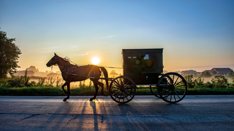 Amish buggy on rural Indiana road at sunset