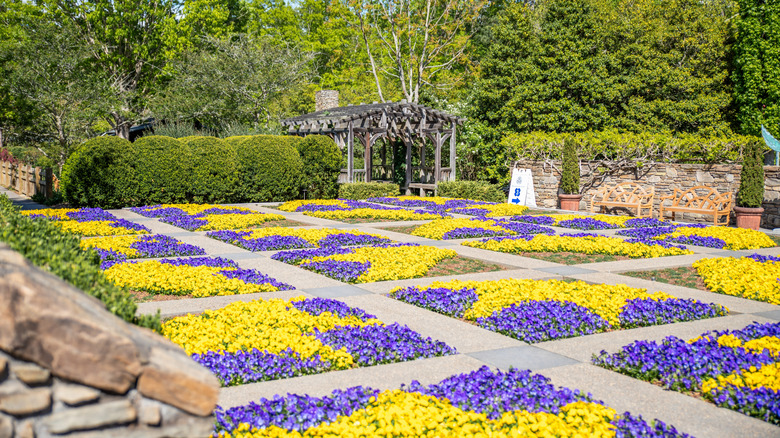 colorful quilt garden with yellow and purple flowers