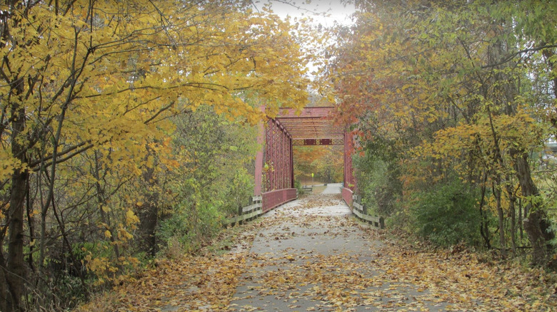 A tree lined section of the B-line trail on an autumn day in Bloomington, IN