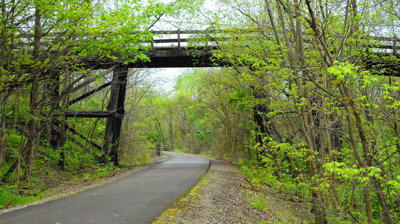 Paved trail in woods near bridge on Cardinal Greenway