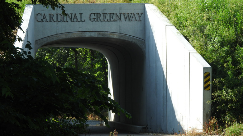 A small tunnel bypass on the Cardinal Greenway near Muncie