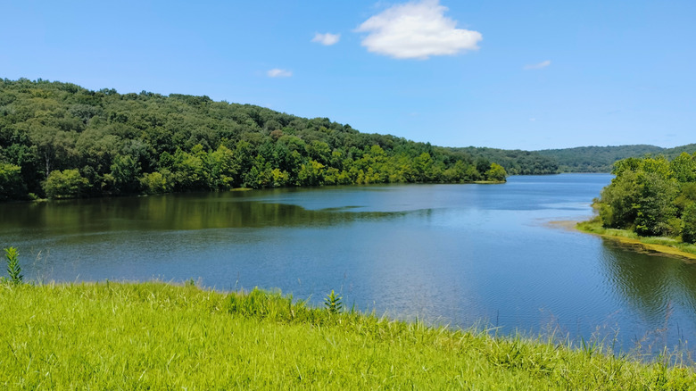 View from the Dam at Indian Lake, Hoosier National Forest