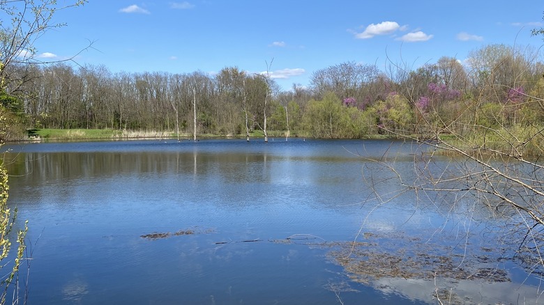 Salamonie Reservoir at Salamonie Lake State Park