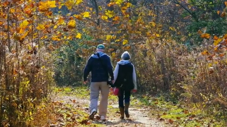 Park in Zionsville, Indiana