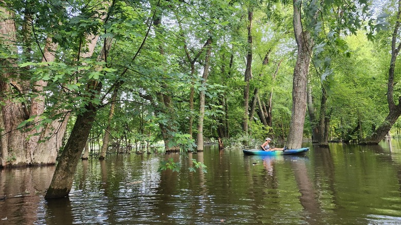 Kayaker on Monroe Lake in Indiana