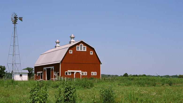 Historic red barn in prairie with windmill
