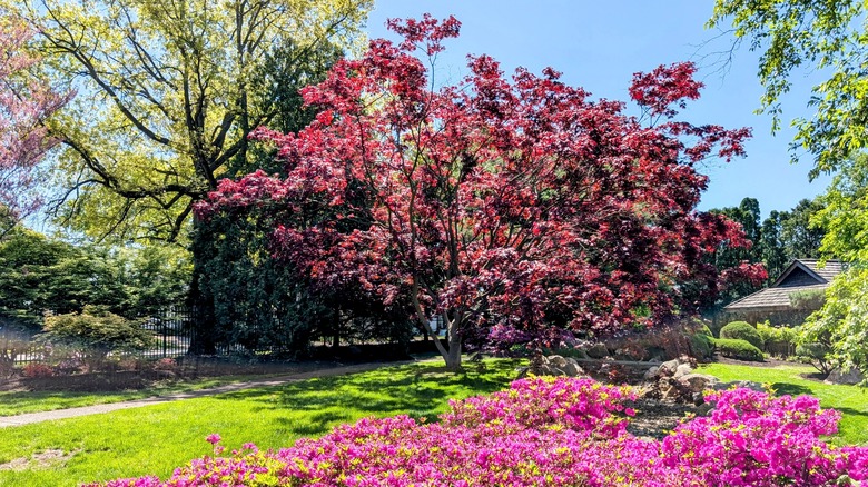 Shiojiri Niwa Japanese Garden in Mishawaka, Indiana on a sunny day