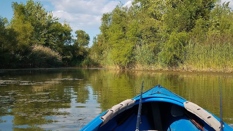 A fishing kayak on the water at Blue Grass Fish & Wildlife Area with nearby trees and reeds on the shoreline.