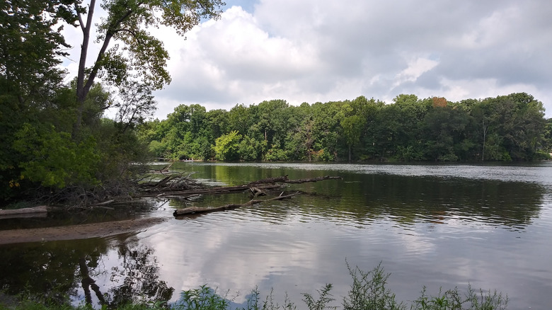 River and trees at Treasure Island park in Indiana