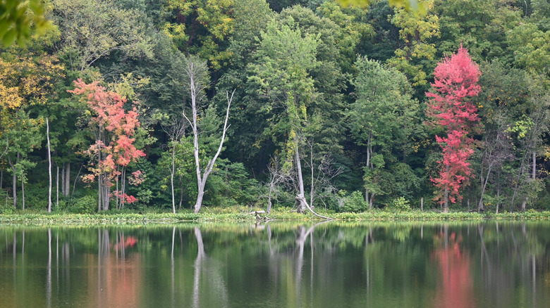 The fall colors starting to show at Chain O' Lakes State Park in Indiana