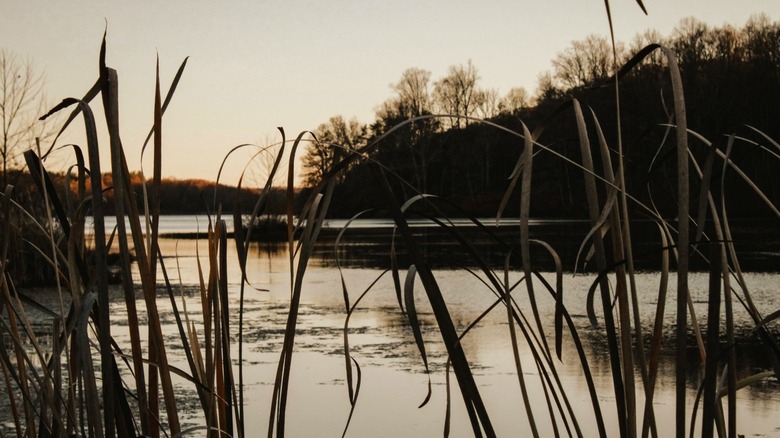 Yellowwood Lake during sunset