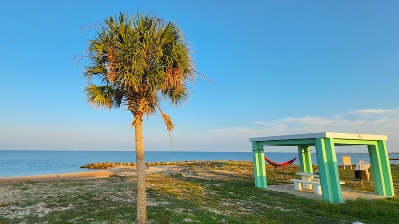 Covered picnic table and palm tree at Indianola Beach Park