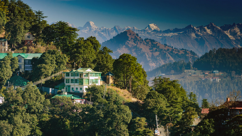 Houses and walking trails around Shimla with the Himalayas in the background