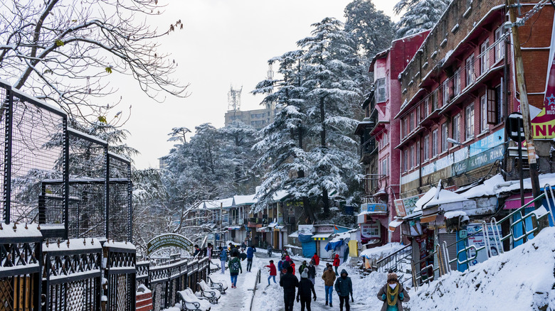 Shimla in the winter covered in snow