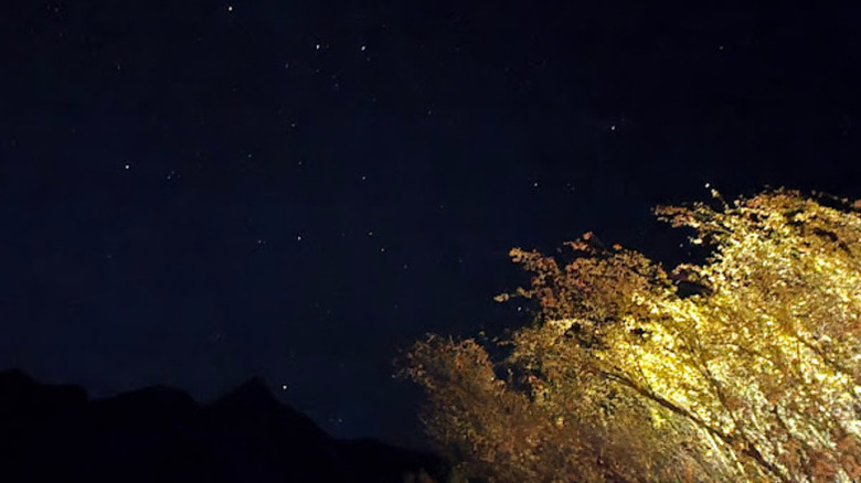 The night sky at Castle Hot Springs