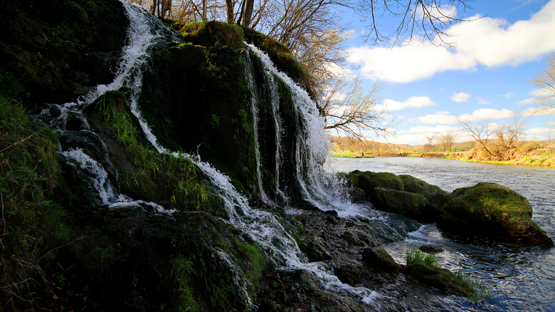 Waterfalls at Malanaphy Springs State Preserve