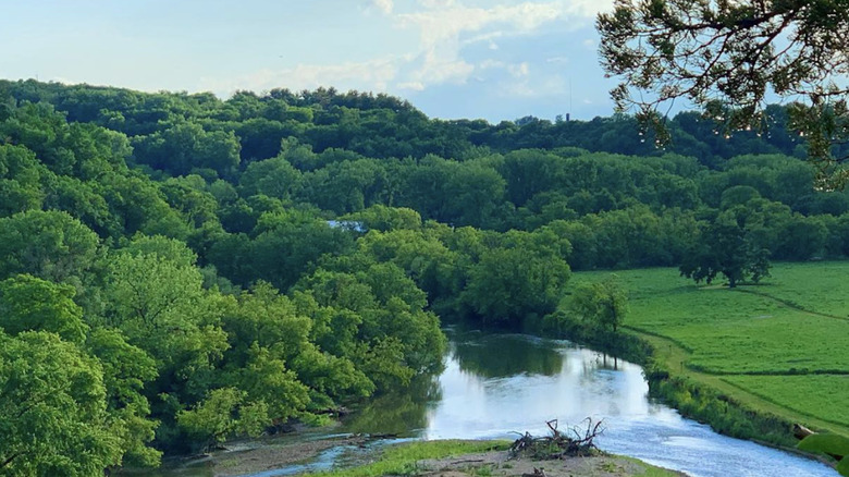 Overview of the greenery and water at Phelps Park, Decorah