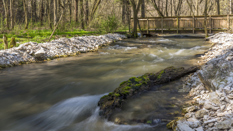 A look at the creek with a bridge in the background at Dunnings Spring Park in Decorah, Iowa