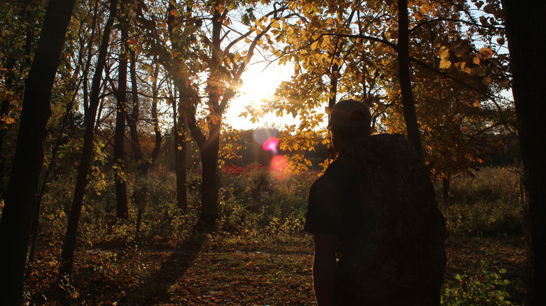 The silhouette of a person hiking through trees in Sugar Bottom Recreation Area near North Liberty.