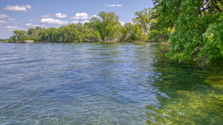 Trees on the shoreline of the clear West Okoboji Lake at Gull Point State Park